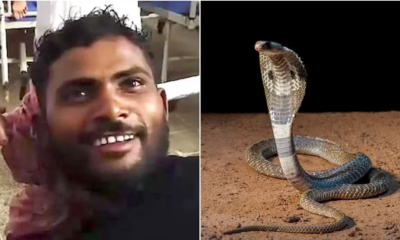 Shocking reason man bit snake to death