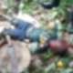 Ibadan ritual killing: Muslim cleric beheads 14-year-old boy