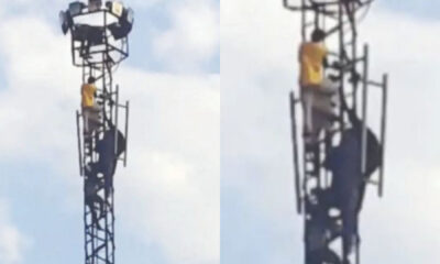 Thief climbs high electric tower to run from angry mob