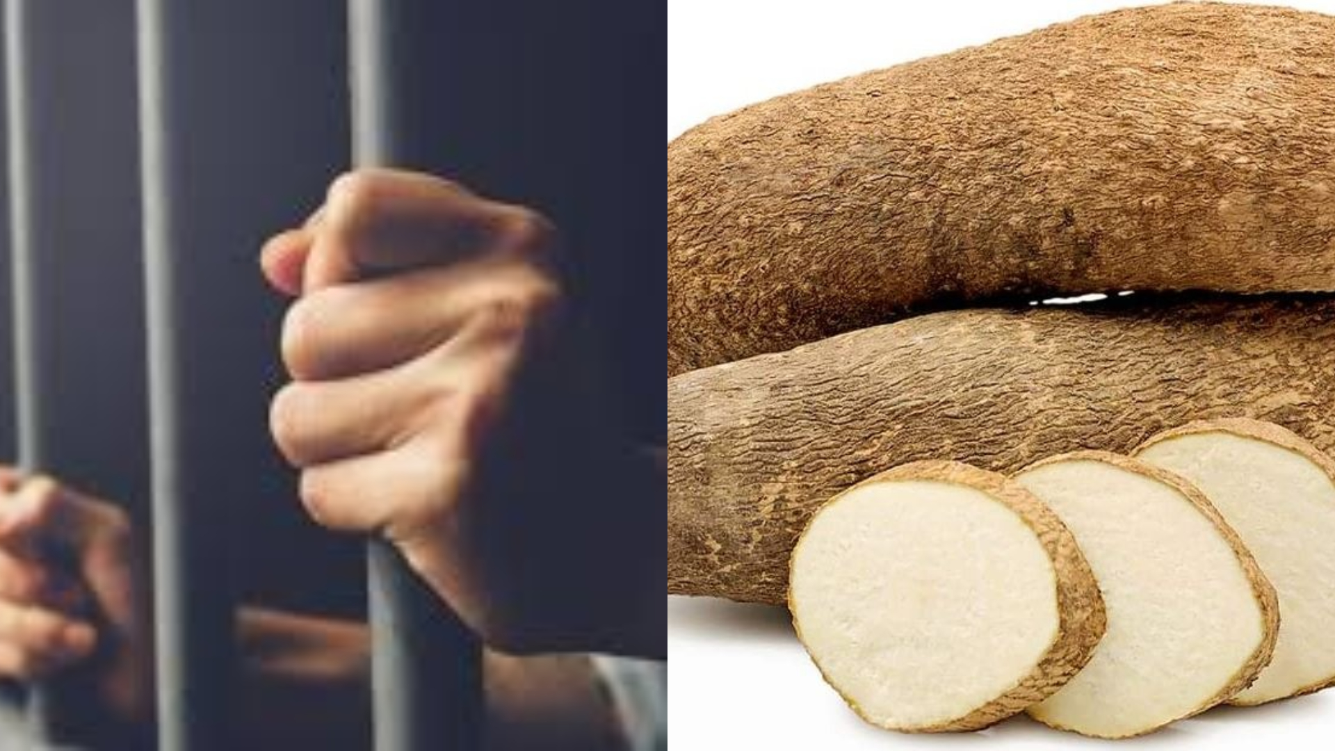 I Was Hungry - Man speaks after being sentenced to jail for stealing yam tubers