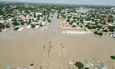 Insurgents, families killed as flood ravages Borno state