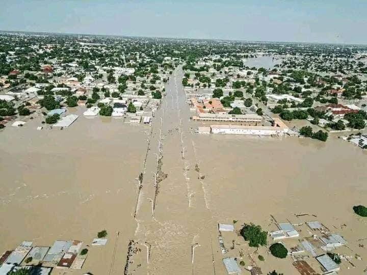 Insurgents, families killed as flood ravages Borno state