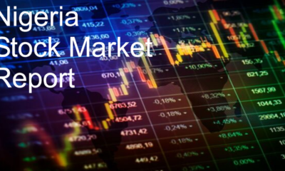 Understanding triple-digit gains of 8 Nigerian stocks in 2024