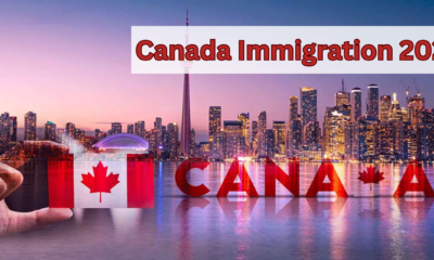 Canada job market insights for immigrants 2024