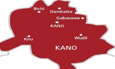 Kano LG poll: NNPP wins 44 chairmanships, 484 councillorship seats