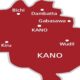 Kano LG poll: NNPP wins 44 chairmanships, 484 councillorship seats