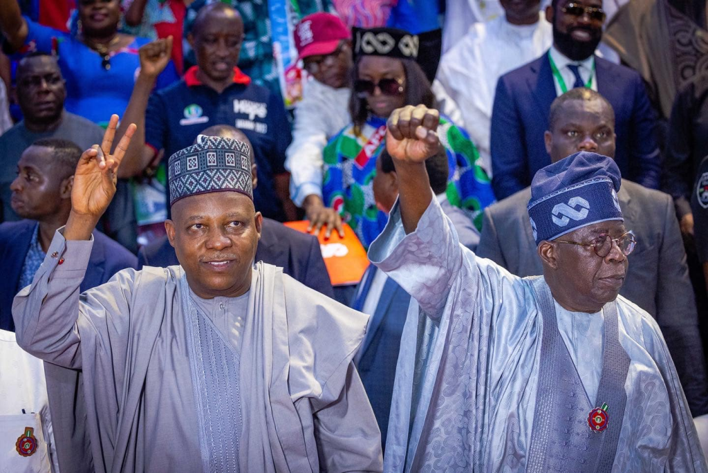 "Should Tinubu and Shettima leave Nigeria at the same time?"