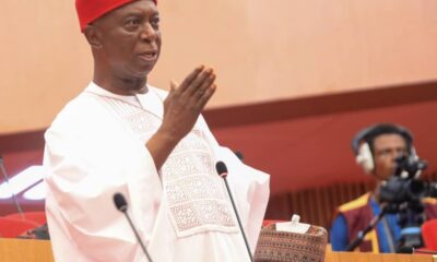 Nigerian Senator Ned Nwoko advocates citizen gun rights