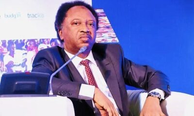 World Bank want Nigeria's hardship to last 15 years - Shehu Sani