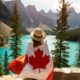 5 ways to find a job in Canada